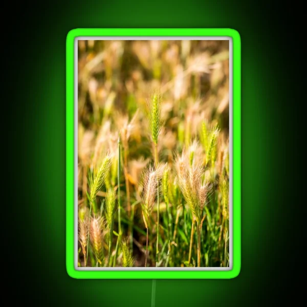 False Barley Nature Photo RGB Neon Sign