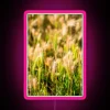 RGB LED Barley Nature Photo Inspired Neon Sign Wall Art