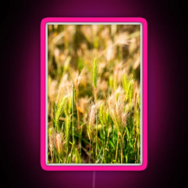 False Barley Nature Photo RGB Neon Sign