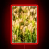 Vibrant False Barley Landscape Photography Captured in Neon Hues