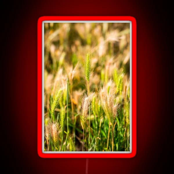 False Barley Nature Photo RGB Neon Sign