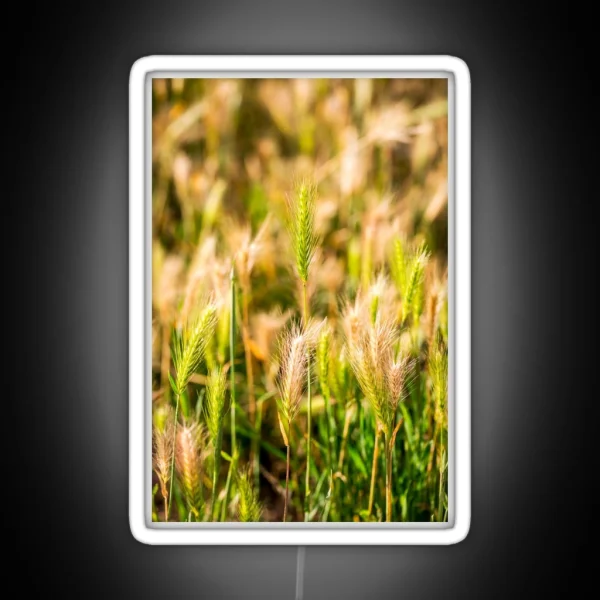 False Barley Nature Photo RGB Neon Sign