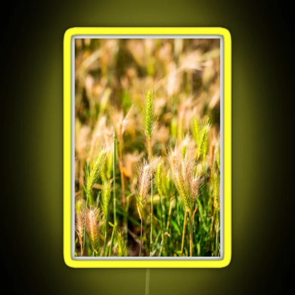 False Barley Nature Photo RGB Neon Sign
