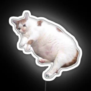 Fat Crying Cat RGB Neon Sign