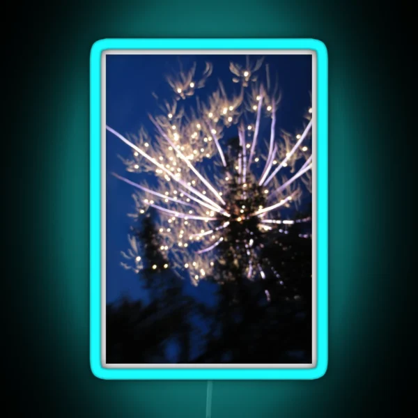 Firework Long Exposure RGB Neon Sign