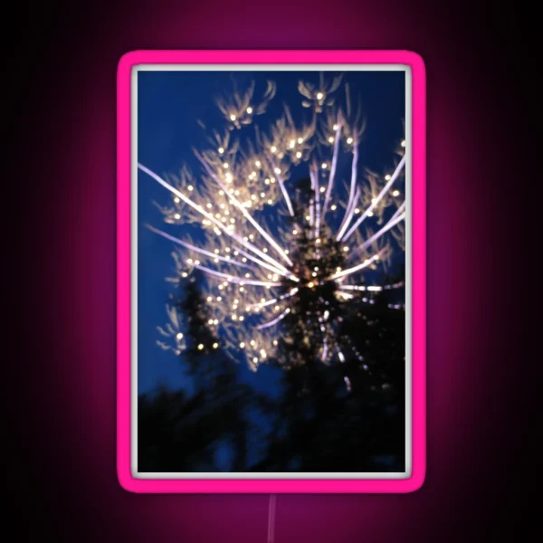 Firework Long Exposure RGB Neon Sign