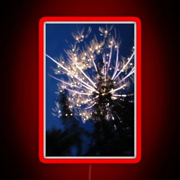 Firework Long Exposure RGB Neon Sign