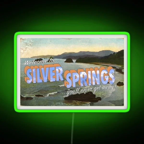 Fleetwood Mac Silver Springs RGB Neon Sign