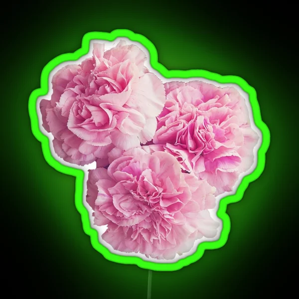 Floral Cluster RGB Neon Sign