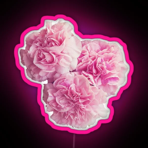 Floral Cluster RGB Neon Sign