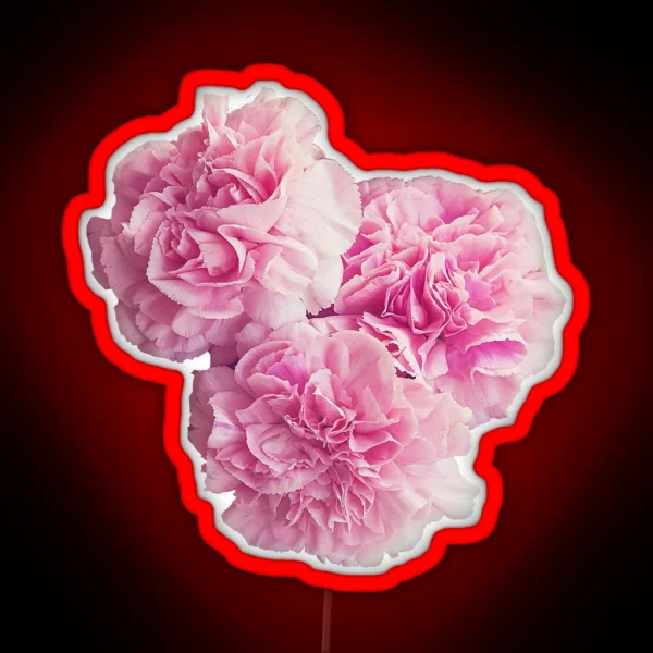 Floral Cluster RGB Neon Sign