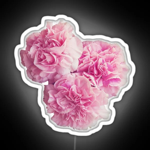 Floral Cluster RGB Neon Sign