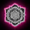 Stunning Hand-Drawn Flower of Life Mandala with Neon Accent Lighting