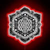 Vibrant, hand-drawn mandala art with Sacred Geometry and Floral elements