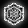 Hand-Drawn Sacred Geometry Flower of Life RGB Neon LED Sign Display