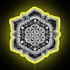 Hand-Drawn Sacred Geometry Mandala with Vibrant RGB Neon Sign Illumination
