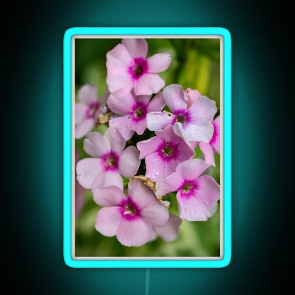Flower Photography RGB Neon Sign