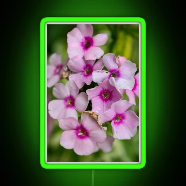 Flower Photography RGB Neon Sign