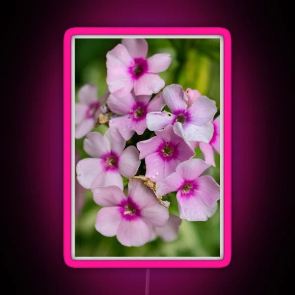 Flower Photography RGB Neon Sign