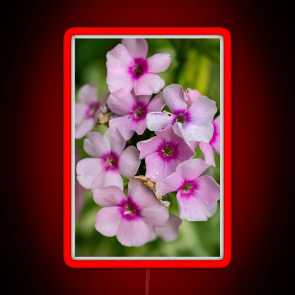 Flower Photography RGB Neon Sign