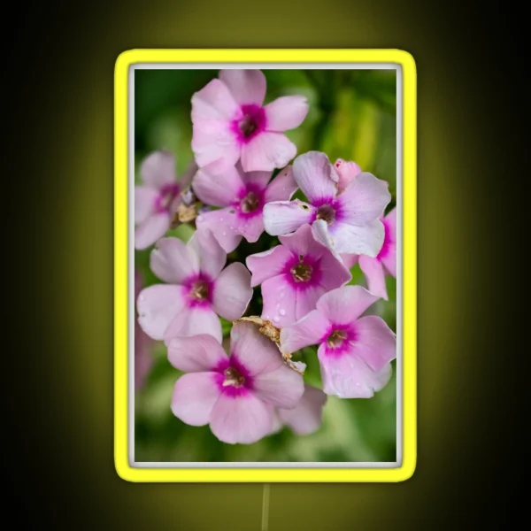 Flower Photography RGB Neon Sign
