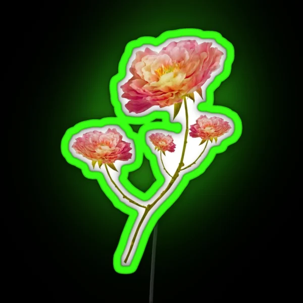 FLOWERS RGB Neon Sign