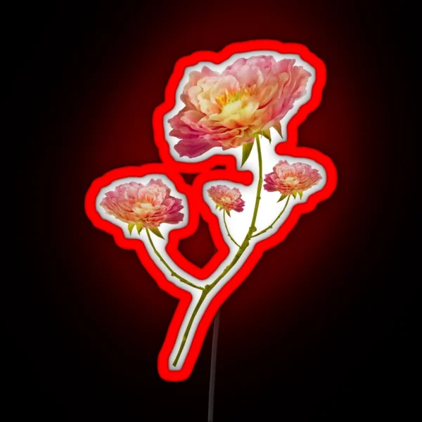 FLOWERS RGB Neon Sign