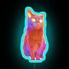 RGB Neon Sign With Fluffy Cat Photo Artwork Design