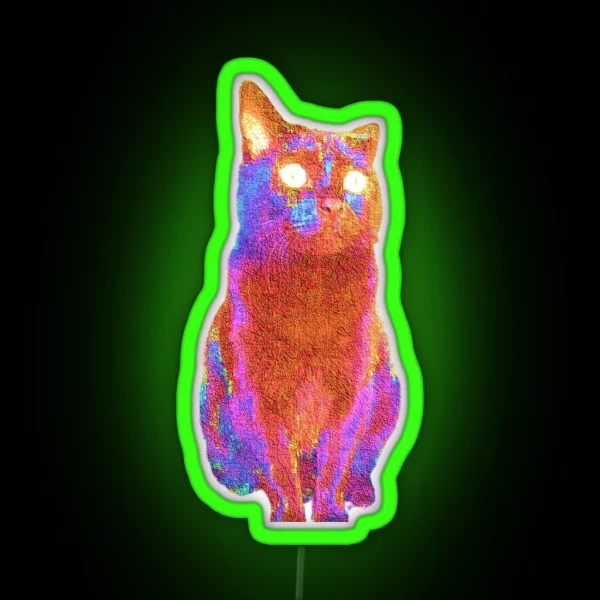 Fluffy Adam Photo Cat RGB Neon Sign
