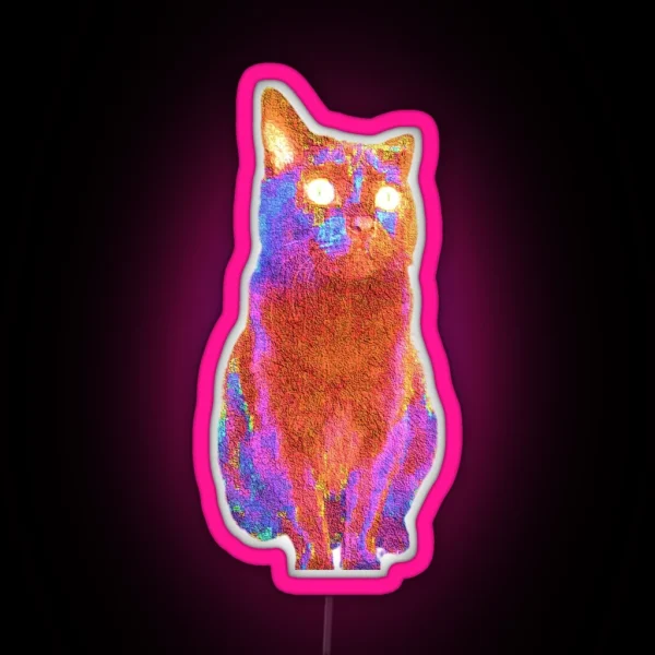 Fluffy Adam Photo Cat RGB Neon Sign