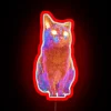 Vibrant RGB LED neon cat sign featuring adorable fluffy photo artwork.