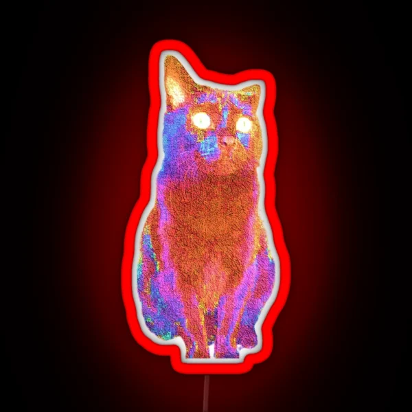 Fluffy Adam Photo Cat RGB Neon Sign