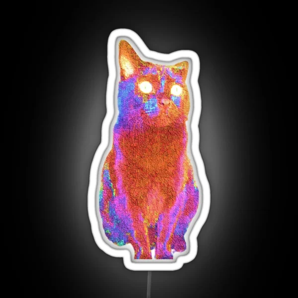 Fluffy Adam Photo Cat RGB Neon Sign