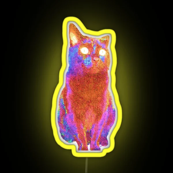 Fluffy Adam Photo Cat RGB Neon Sign