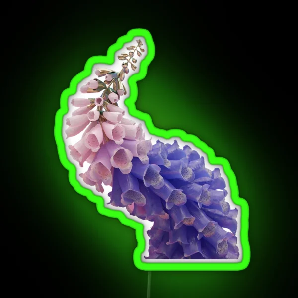 Flume Skins RGB Neon Sign