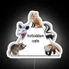 RGB Neon Cat Sign with Forbidden Cats Logo Illumination Design