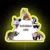 Unique RGB neon art display with feline themed Forbidden Cats design.