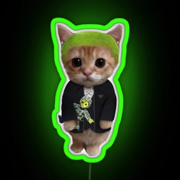 Frank Ocean Cat RGB Neon Sign
