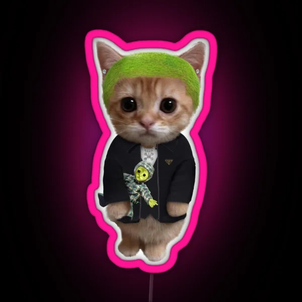 Frank Ocean Cat RGB Neon Sign
