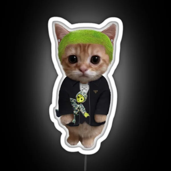 Frank Ocean Cat RGB Neon Sign