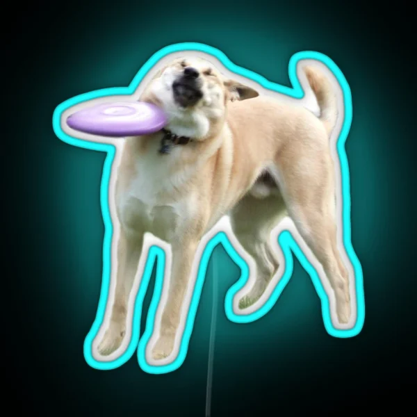 Frisbee Dog RGB Neon Sign