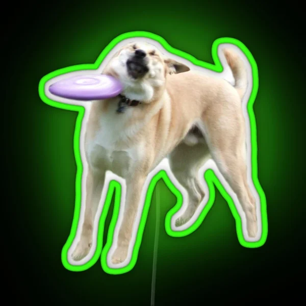 Frisbee Dog RGB Neon Sign