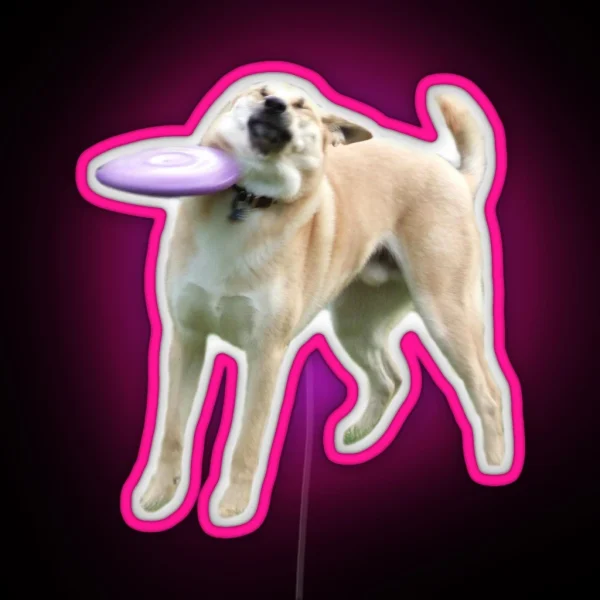 Frisbee Dog RGB Neon Sign