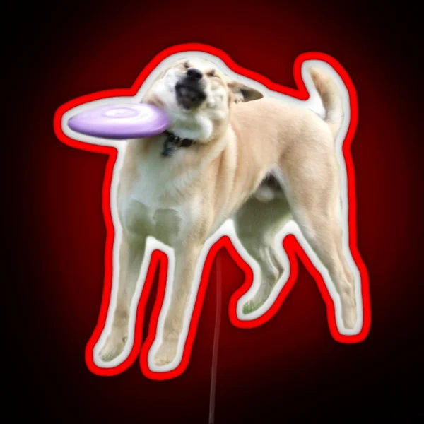 Frisbee Dog RGB Neon Sign