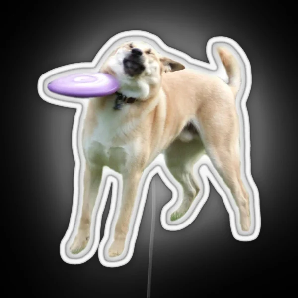 Frisbee Dog RGB Neon Sign