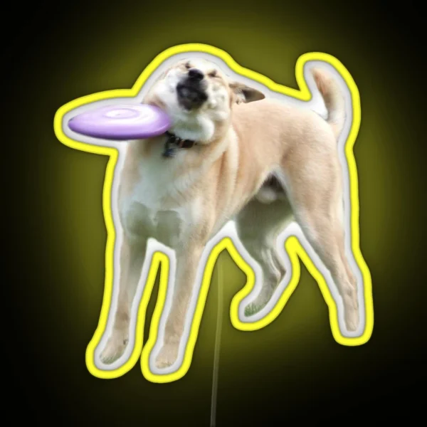 Frisbee Dog RGB Neon Sign