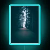 Pathway Illuminated from Darkness to Vibrant Life with Colorful Ambiance.