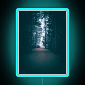 From Darkness To Light Forest Trail V1 RGB Neon Sign