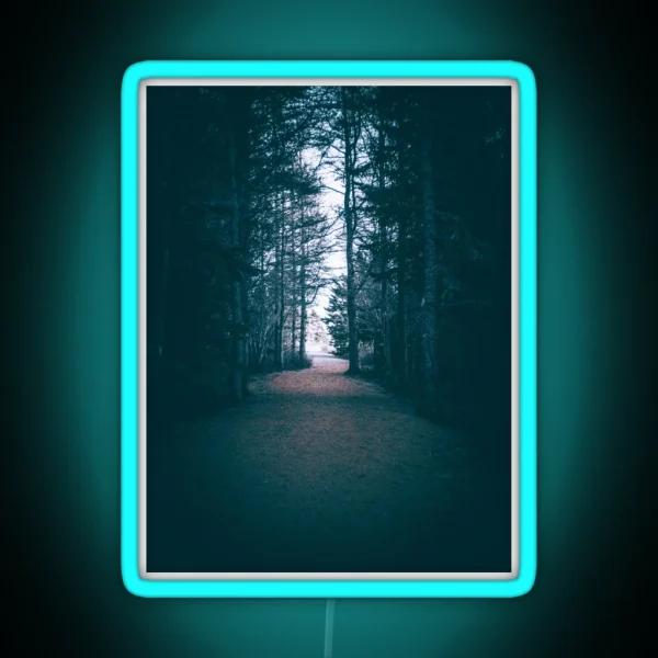 From Darkness To Light Forest Trail V1 RGB Neon Sign