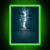 Guiding Pathways Through Embracing Illumination with Vibrant Colorful Forest Sign